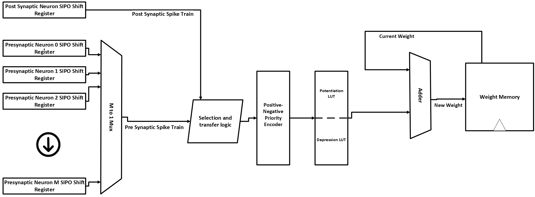 STDP Learning Engine